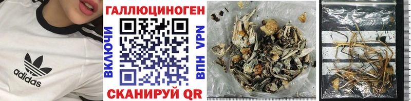купить наркоту  Любань  Галлюциногенные грибы мухоморы 